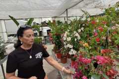 IMG-20250612-WA0028